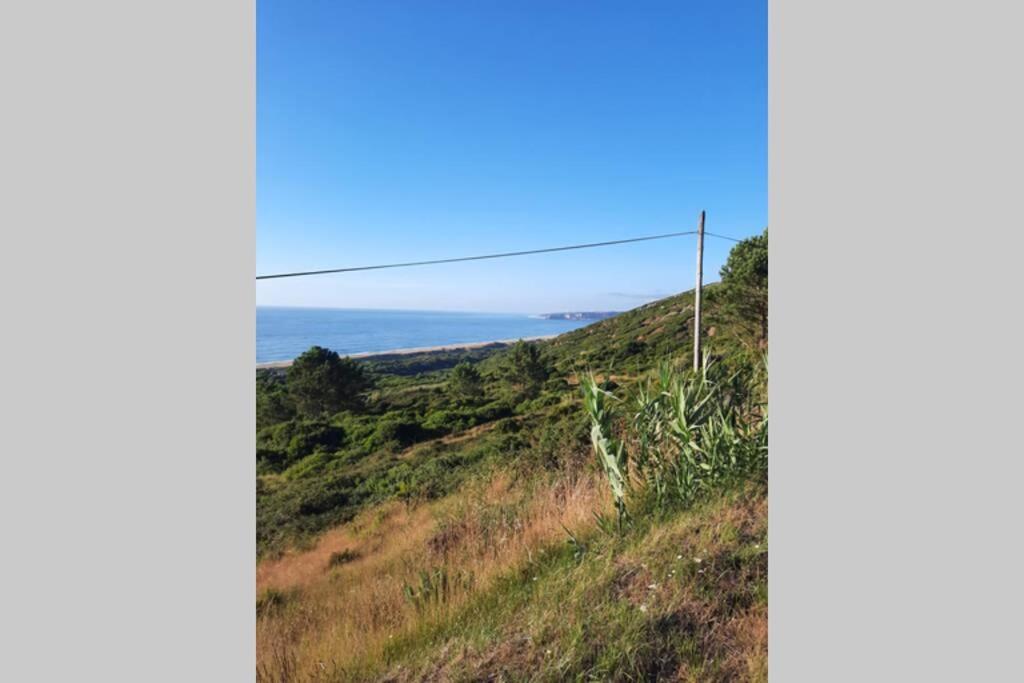 Sunflower Sea View With Magnificent Terrace In Serra Da Pescaria, Nazare - Portugal Екстериор снимка
