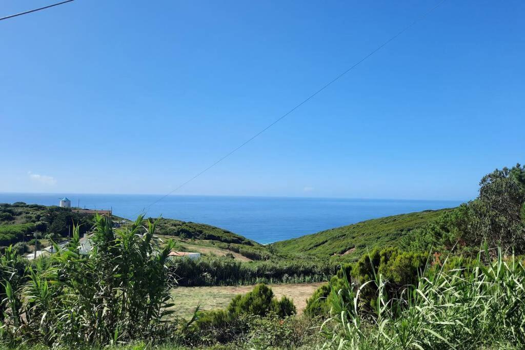 Sunflower Sea View With Magnificent Terrace In Serra Da Pescaria, Nazare - Portugal Екстериор снимка