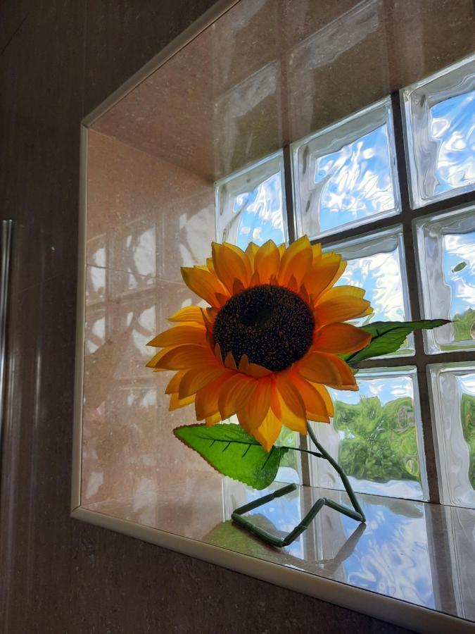 Sunflower Sea View With Magnificent Terrace In Serra Da Pescaria, Nazare - Portugal Екстериор снимка