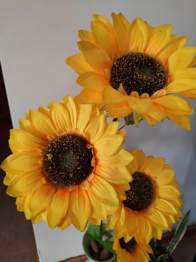 Sunflower Sea View With Magnificent Terrace In Serra Da Pescaria, Nazare - Portugal Екстериор снимка