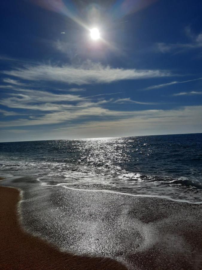 Sunflower Sea View With Magnificent Terrace In Serra Da Pescaria, Nazare - Portugal Екстериор снимка