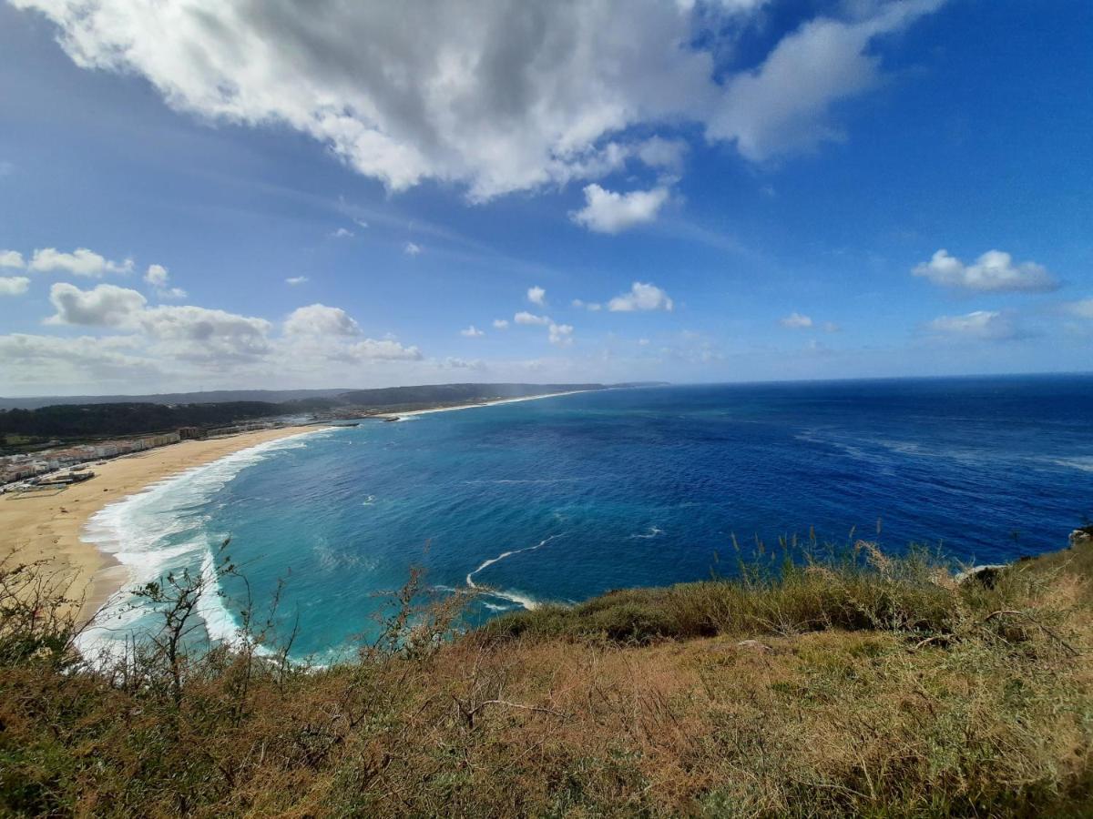 Sunflower Sea View With Magnificent Terrace In Serra Da Pescaria, Nazare - Portugal Екстериор снимка